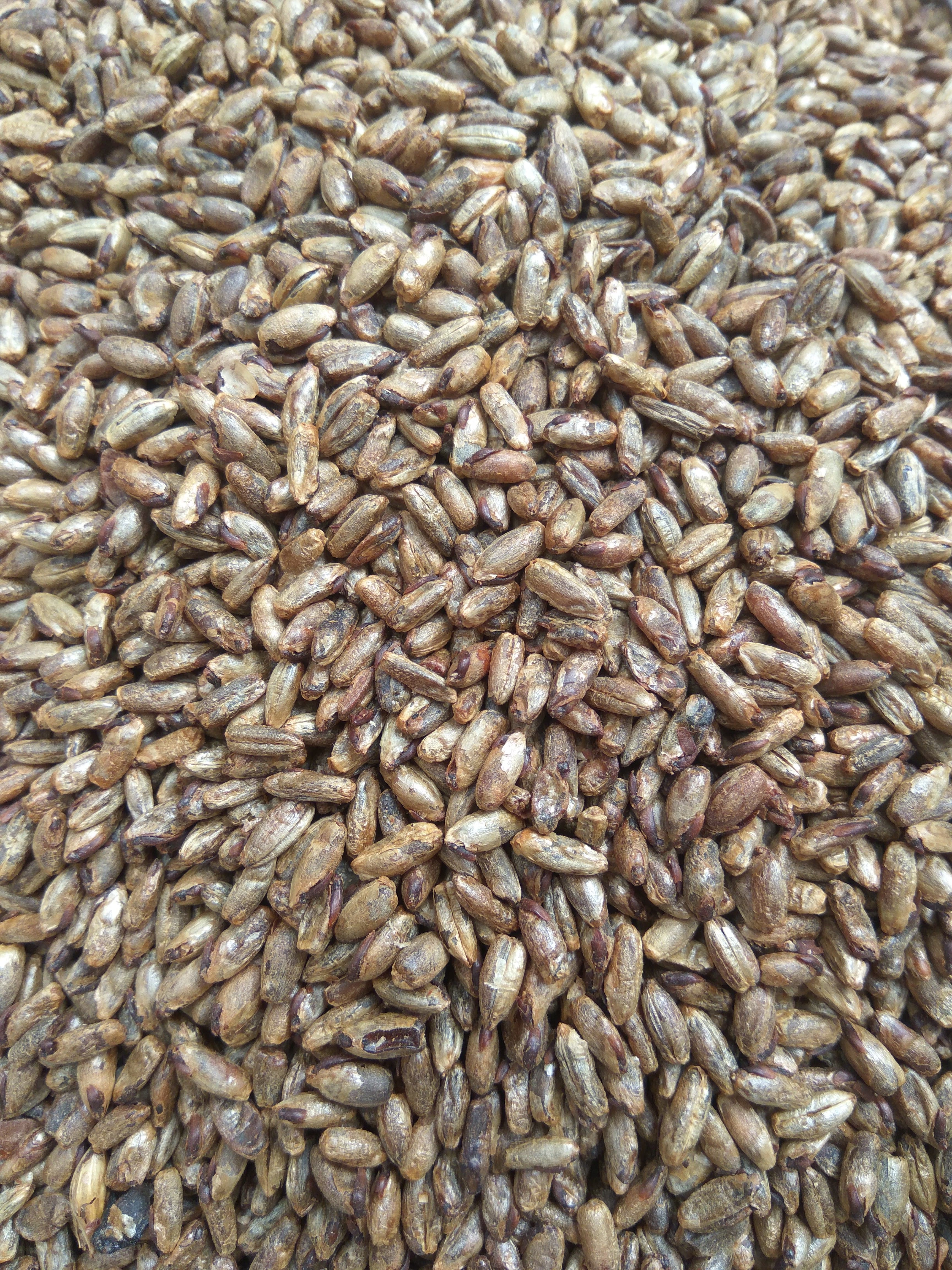 Gladfield Crystal Rye Malt