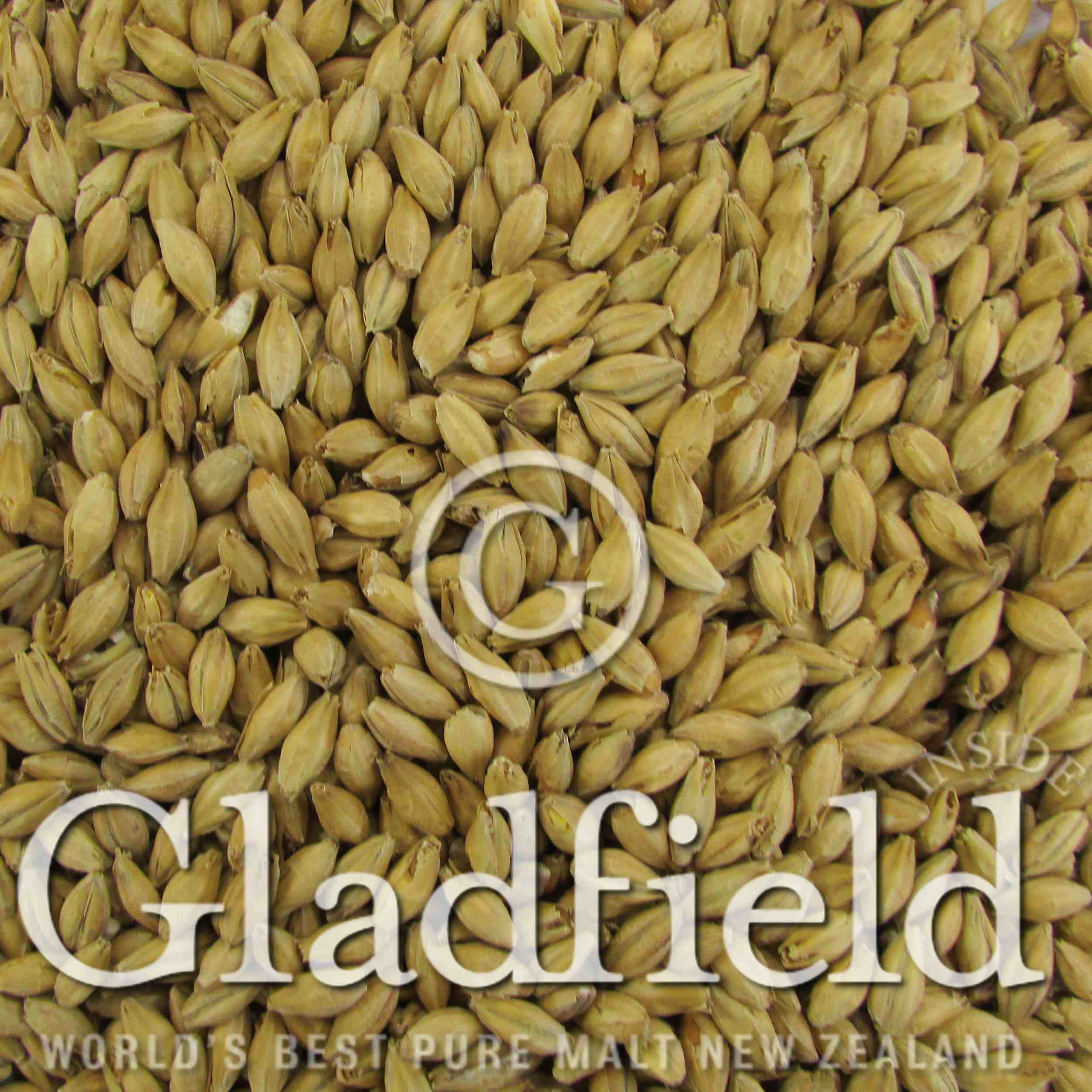 Gladfield Ale malt
